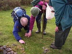 Scottish-Wildlife-Trust-Skye-members-examining-waxcap-mushrooms
