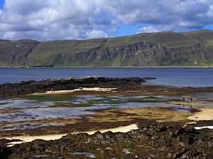 Scottish-Wildlife-Trust-Skye-seashore-field-trip
