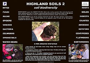 Highland Soils 2