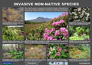 Invasive Non-Native Species